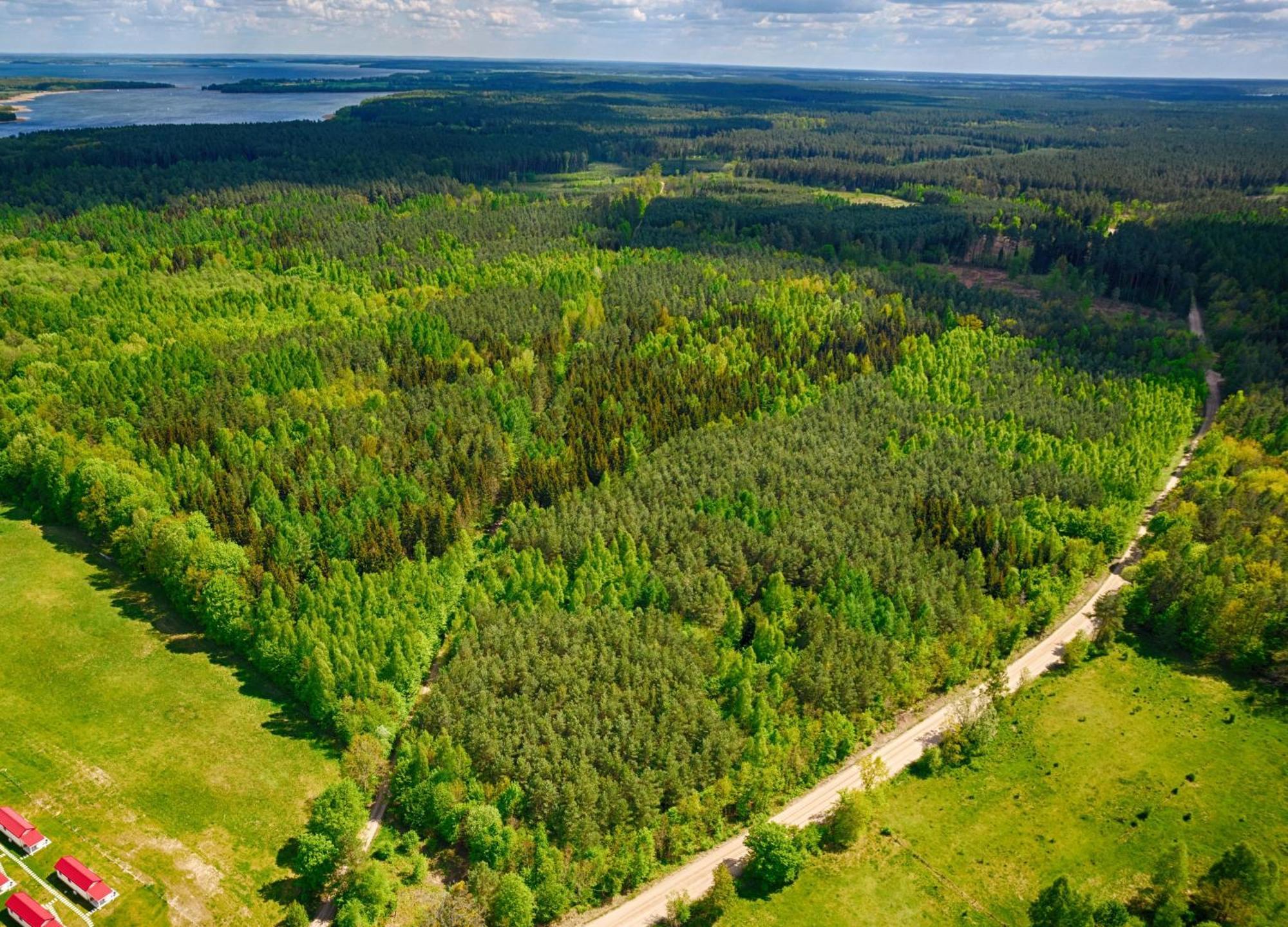Osada Wilaneska Domki Mikolajki Mazury 외부 사진